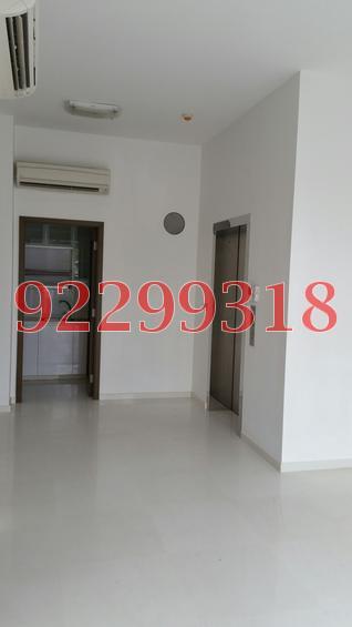 Summer Scent (D19), Apartment #116591742